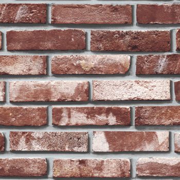 วอลลายอิฐ