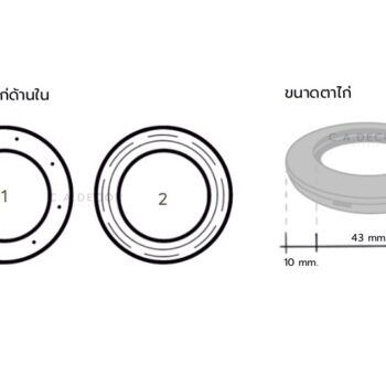 ขนาดตาไก่